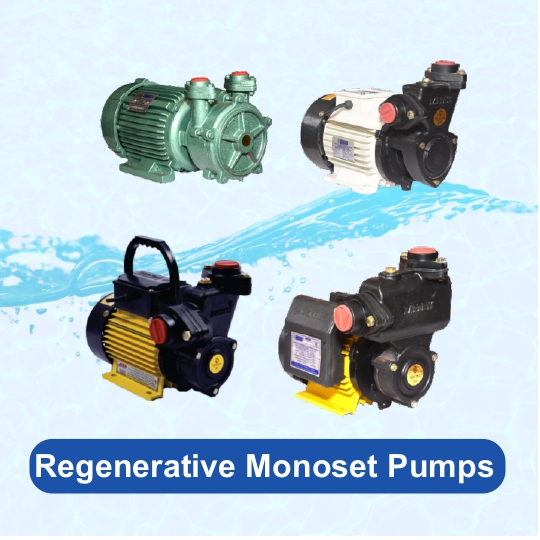 Regenrative Monoset Pumps